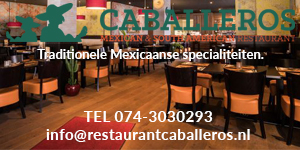 Banner-Caballeros _1_ _1_